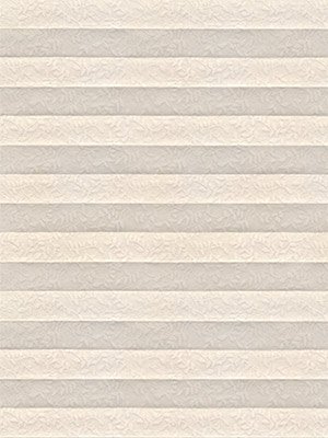 Preview Backyard 182vs 5