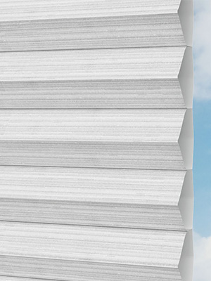 Preview Olms 1270vs 5