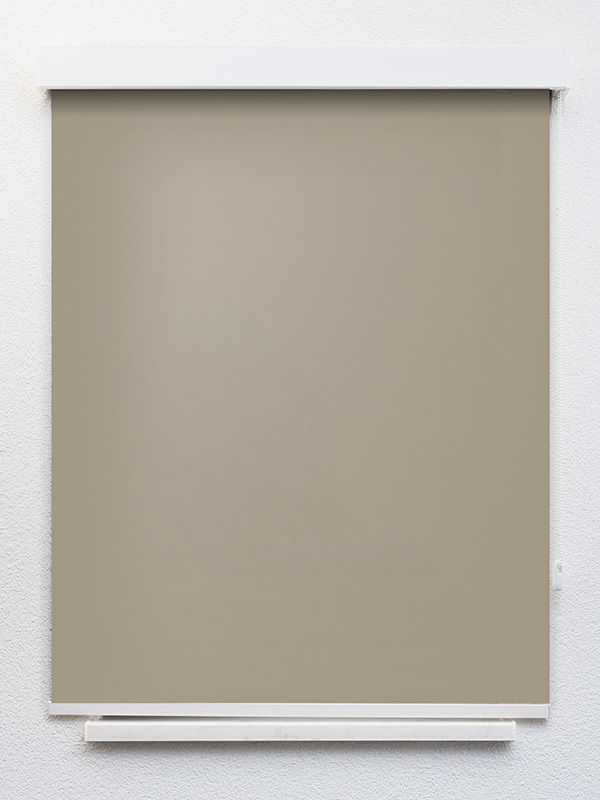 Detailansicht Canari 775-2ro