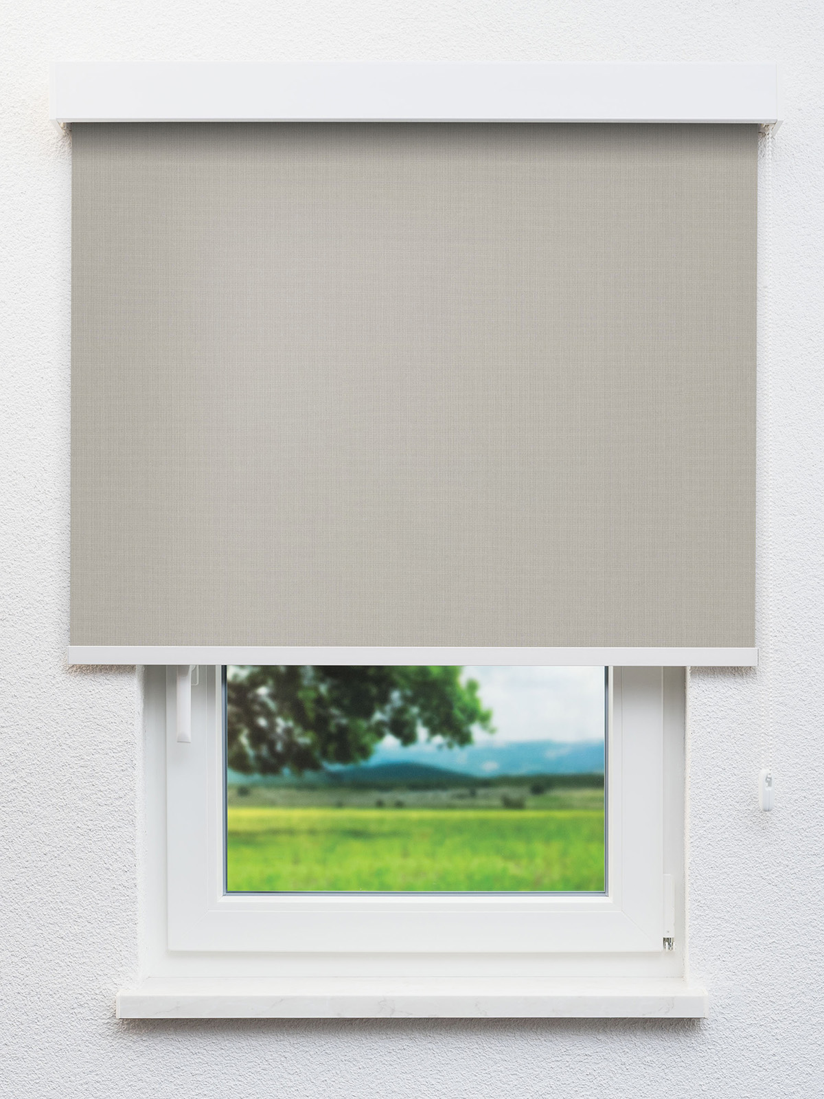 Detailansicht Bandol 812-1