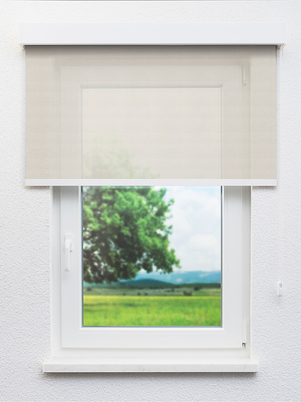 Detailansicht Alwaid 702675L