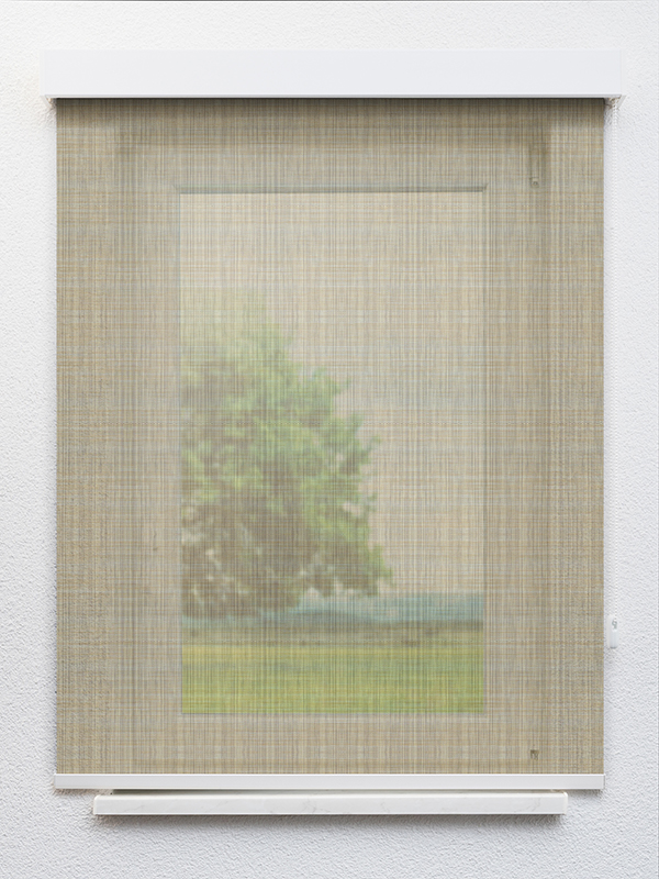 Detailansicht Alfirk 702841L