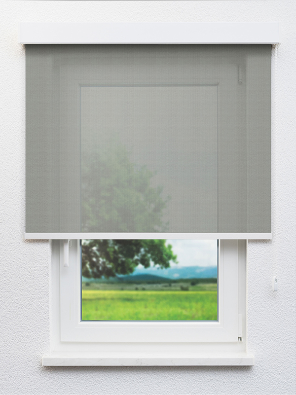 Detailansicht Algenib 902846L