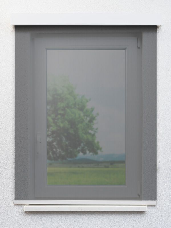 Detailansicht Orléans 734-1ro