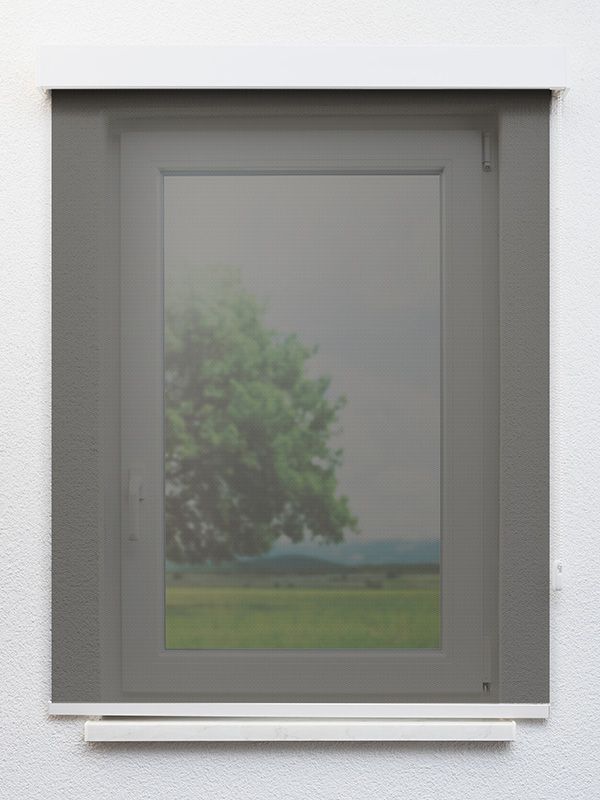 Detailansicht Pantin 761-1ro