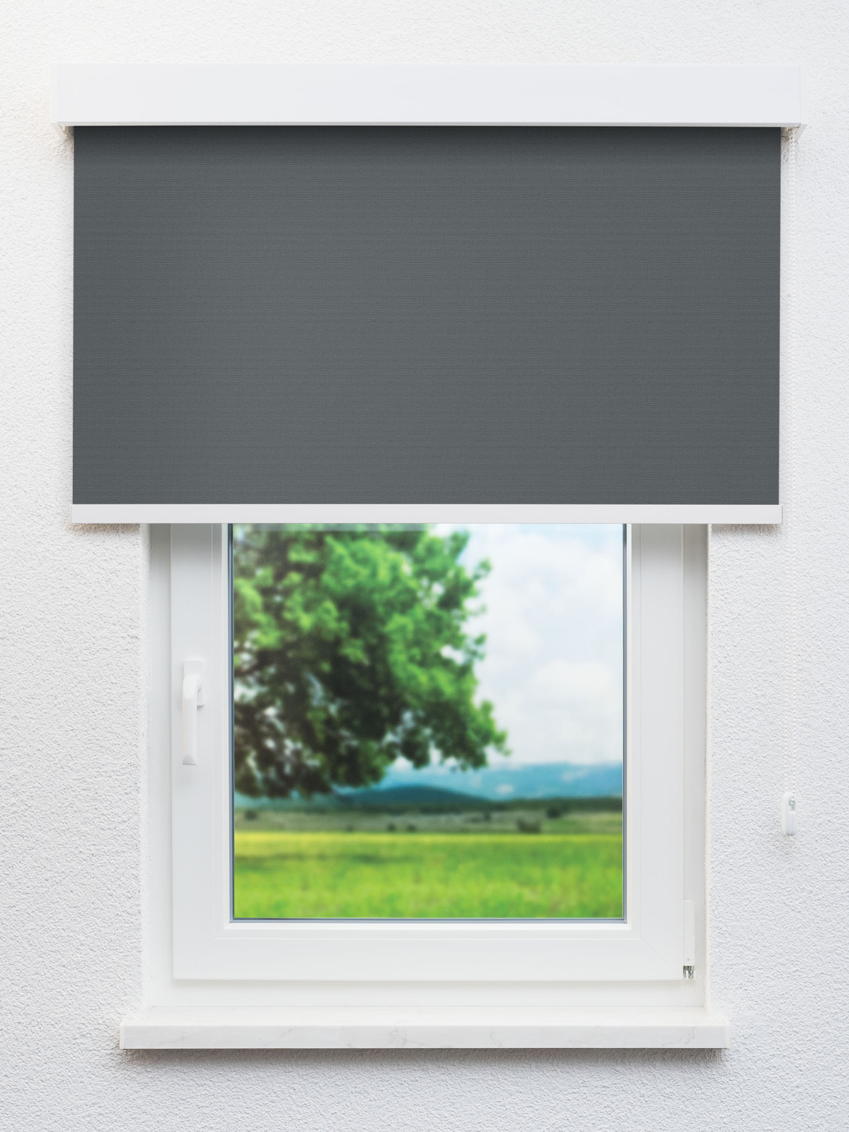 Detailansicht Autun 815-1