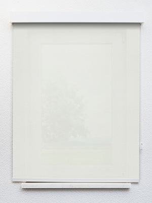 Preview Abbeville 810-0 1