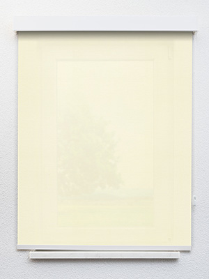 Preview Abbeville 810-3 1