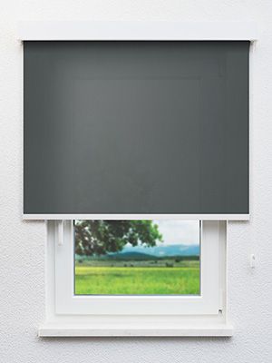 Perpignon 411-0ro Fensteransicht