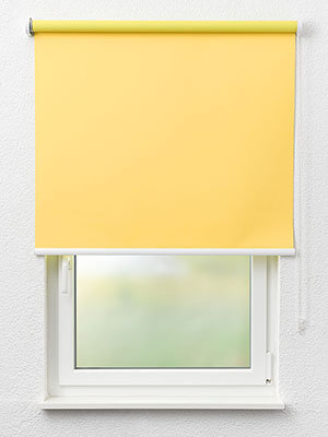 Canari 42.151e Fensteransicht