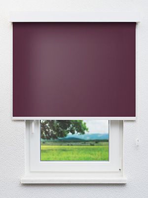 Canari 775-4ro Fensteransicht