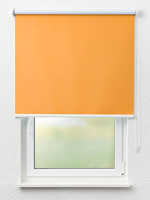 Daun 11.302e Fensteransicht