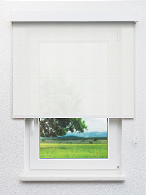 Ceginus 102521L Fensteransicht