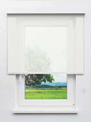 Atlas 102541L Fensteransicht