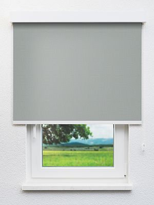 Asellus 802584L Fensteransicht