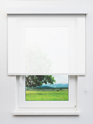 Capella 802596L Fensteransicht