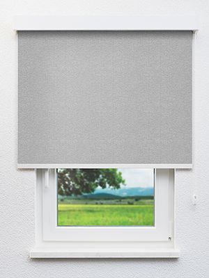 Alphard 802600L Fensteransicht