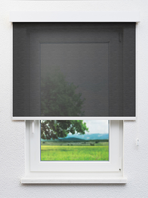 Akrab 802622L Fensteransicht