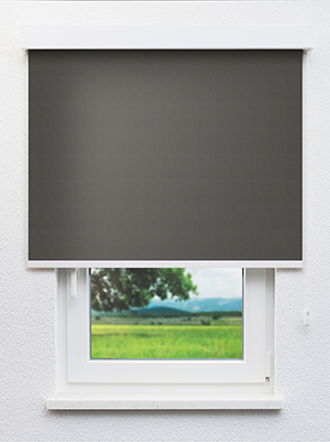 Asterope 802644L Fensteransicht