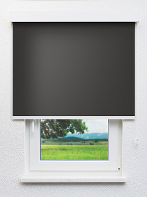 Asterope 802645L Fensteransicht