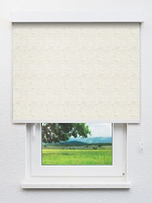 Alschain 202679L Fensteransicht