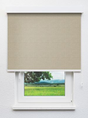 Asellus 202700L Fensteransicht