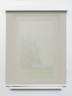 Preview Canopus 702821L 1