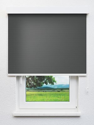 Canopus 802824L Fensteransicht