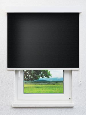 Canopus 802825L Fensteransicht