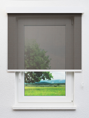 Canopus 702826L Fensteransicht