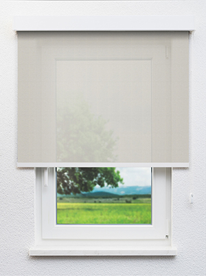 Canopus 702829L Fensteransicht