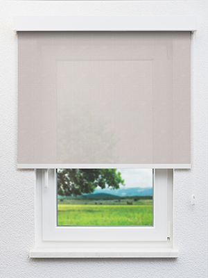 Ceginus 802854L Fensteransicht