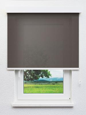 Aladfar 802856L Fensteransicht