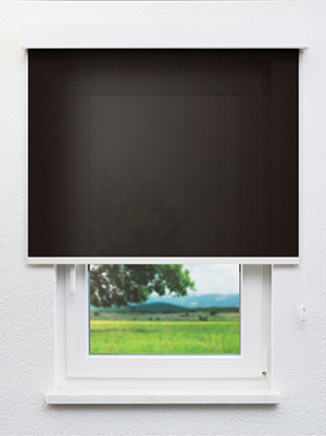 Ceginus 802857L Fensteransicht