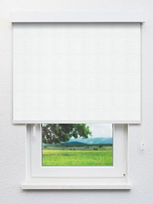 Adhara 102858L Fensteransicht