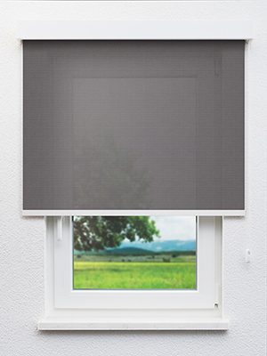 Chow 802867L Fensteransicht