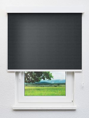 Avior 802878L Fensteransicht