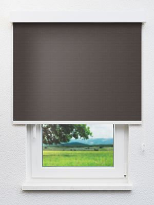 Alnilam 702888L Fensteransicht