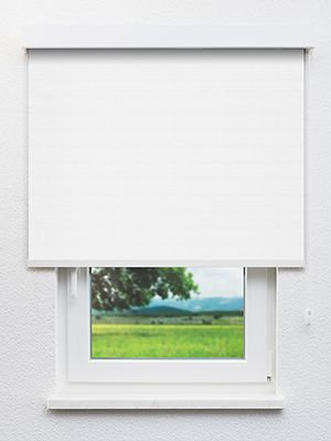 Alya 102900L Fensteransicht