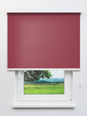 Alya 402914L Fensteransicht