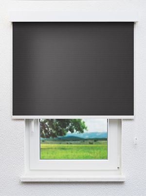 Alya BO 802920L Fensteransicht