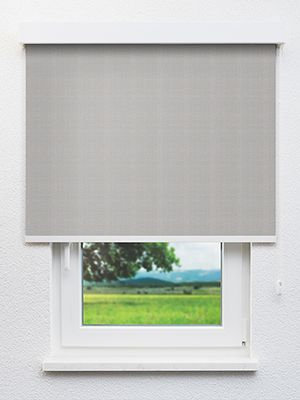 Betria 802981L Fensteransicht