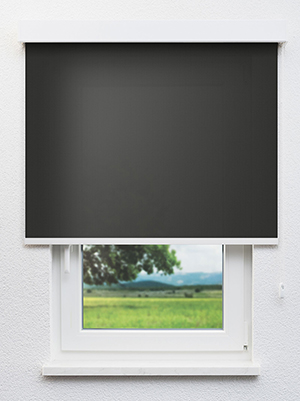 Betria 802983L Fensteransicht