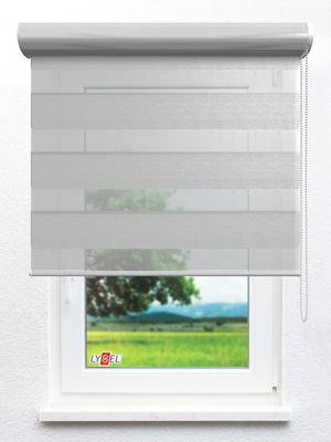 Doppelrollo Biot_23103ro Fensteransicht