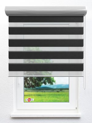 Doppelrollo Auray_29303ro Fensteransicht