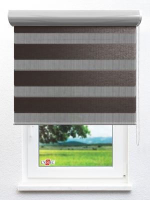 Doppelrollo Eze_31203ro Fensteransicht