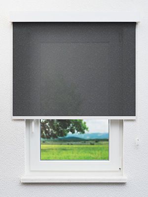 Cenon 787-1ro Fensteransicht