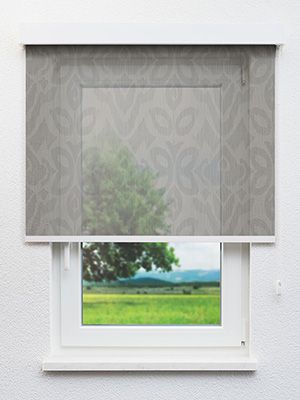 Straßburg 717-0ro Fensteransicht