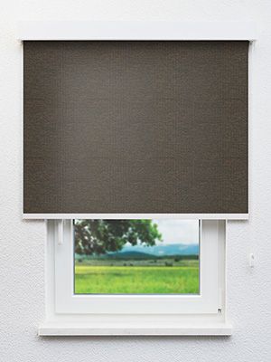 Le Mans 730-0ro Fensteransicht