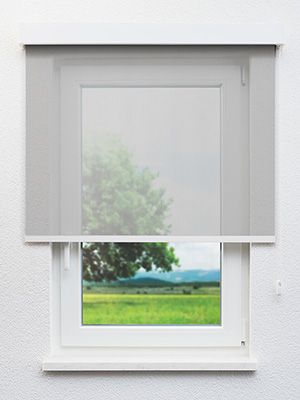 Orléans 734-0ro Fensteransicht